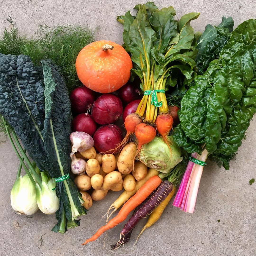 Our Winter CSA - Boldly Grown Farm